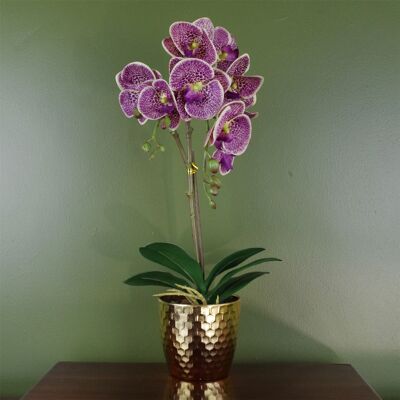 Orchidée violette léopard artificiel doré 50 cm