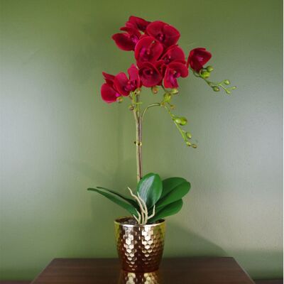Orchidée Rouge Artificielle Rouge Foncé Or 50cm