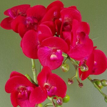 Orchidée Rouge Léopard Artificiel Doré Pot 50cm 2