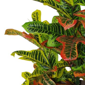 Plantes artificielles tropicales 90 cm Croton Large 4