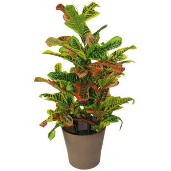 Plantes artificielles tropicales 90 cm Croton Large 5