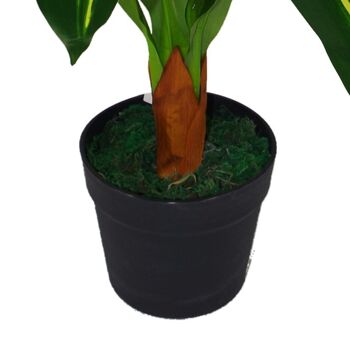 Plantes artificielles tropicales plante d'intérieur Dracaena 90 cm 4