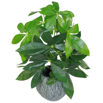 Tropische Kunstpflanzen Jadepflanze 50 cm Zimmerpflanze