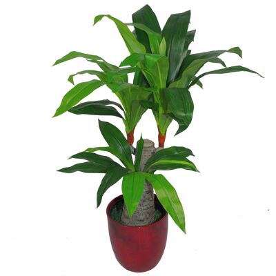 Tropische künstliche Pflanzen, stachelige Dracaena-Zimmerpflanze, 75 cm