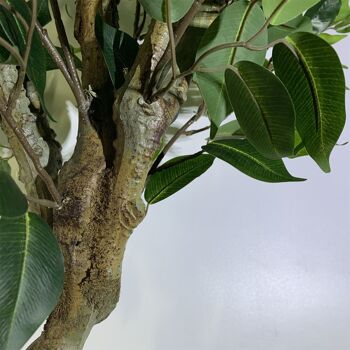 Ficus artificiel de qualité supérieure, 100 cm, arbre torsadé 2