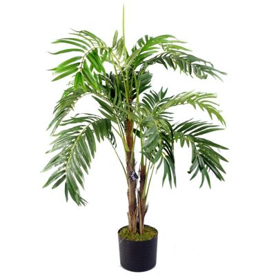 Palmera 120cm Plantas de Palmera Árbol Areca