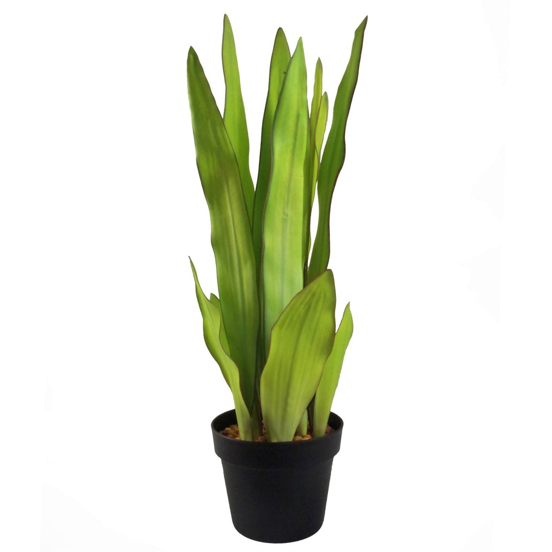 Plantas Artificiales Tropicales 70cm Sansevieria Moonshine 70cm Plants