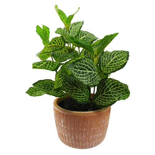 Artificial Houseplant Terracotta Pot Pothos Shrub
