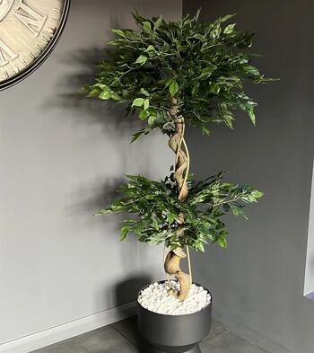Arbre Fruticosa japonais artificiel Ficus torsadé 150 cm Royaume-Uni 1