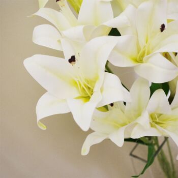 Plante de lys artificielle blanche, fleurs à tige nue de 60 cm 4