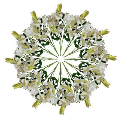 Künstliche Lilie, Weiß, 60 cm, 12 x Stiel