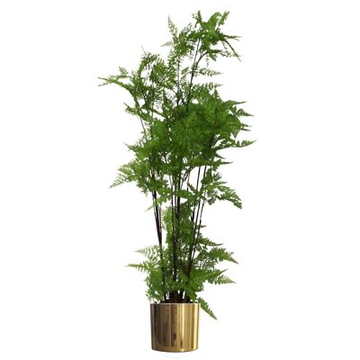 Künstlicher Moosfarn-Goldpflanzer mit 150 cm Blatt