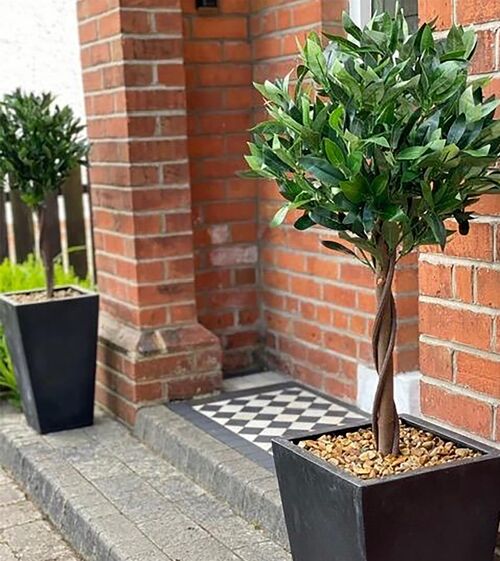 Artificial Topiary Bay Pair Twisted Laurel Trees 120cm Trunk