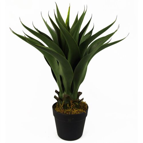 Artificial Tropical Yucca Plant Plants 55cm
