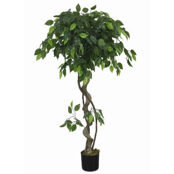 Ficus torsadé artificiel, fausses plantes réalistes, 120cm, 4 pieds