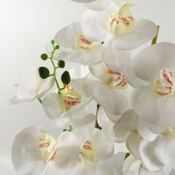 Plante de fleur d'orchidée artificielle 70 cm Pot en plastique blanc 70 cm 2