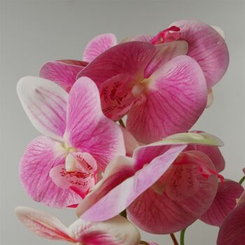 Pot de fleur d'orchidée artificielle rose 70 cm 3