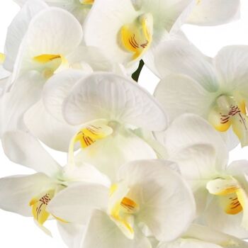 Orchidée Artificielle Grande Or Blanc 52cm 2