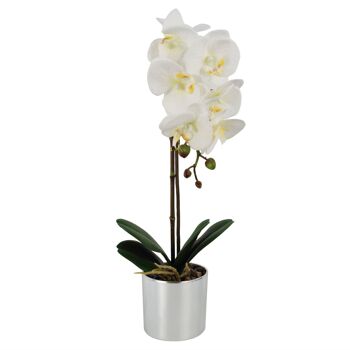 Orchidée Artificielle Blanc Argent Pot 46cm 1