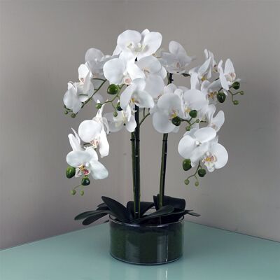 Orchidea artificiale con fioriera in vetro - Bianca