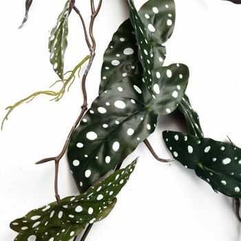 Begonia Maculata suspendu traînant artificiel, plante tachetée, réaliste, 110cm 4