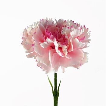 12 x fleur artificielle d'oeillet rose 1