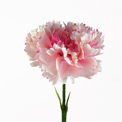 12 flores artificiales de clavel rosa.