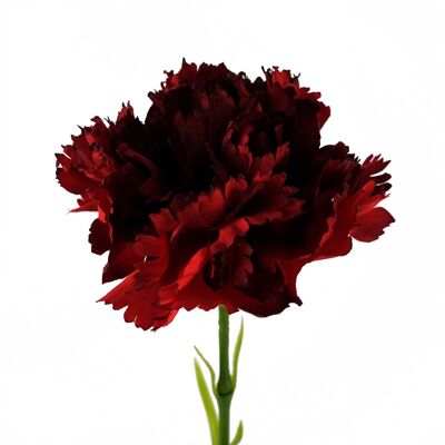 12 flores artificiales de clavel rojo.
