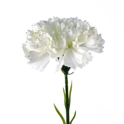 12 flores artificiales de clavel blanco.