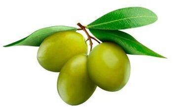 Maxi Cracker aux olives vertes et cracker à l'huile d'olive 3