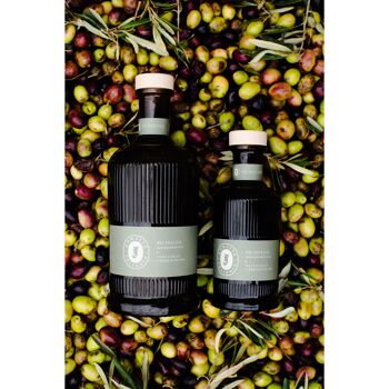 Huile d'olive monovariétale Picholine bio 500ml 2