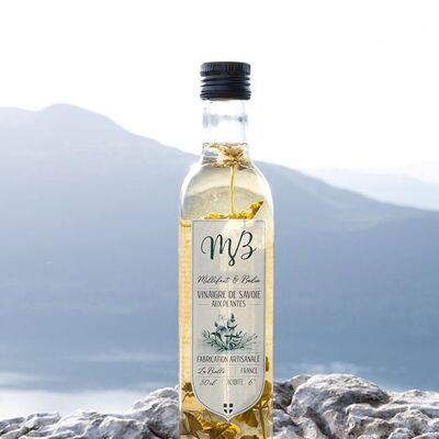 Vinaigre de Savoie - Plante thym citron