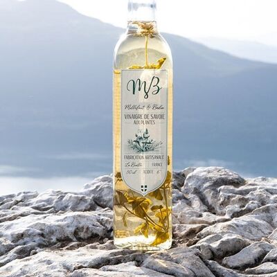 Vinaigre de Savoie - Plante thym citron