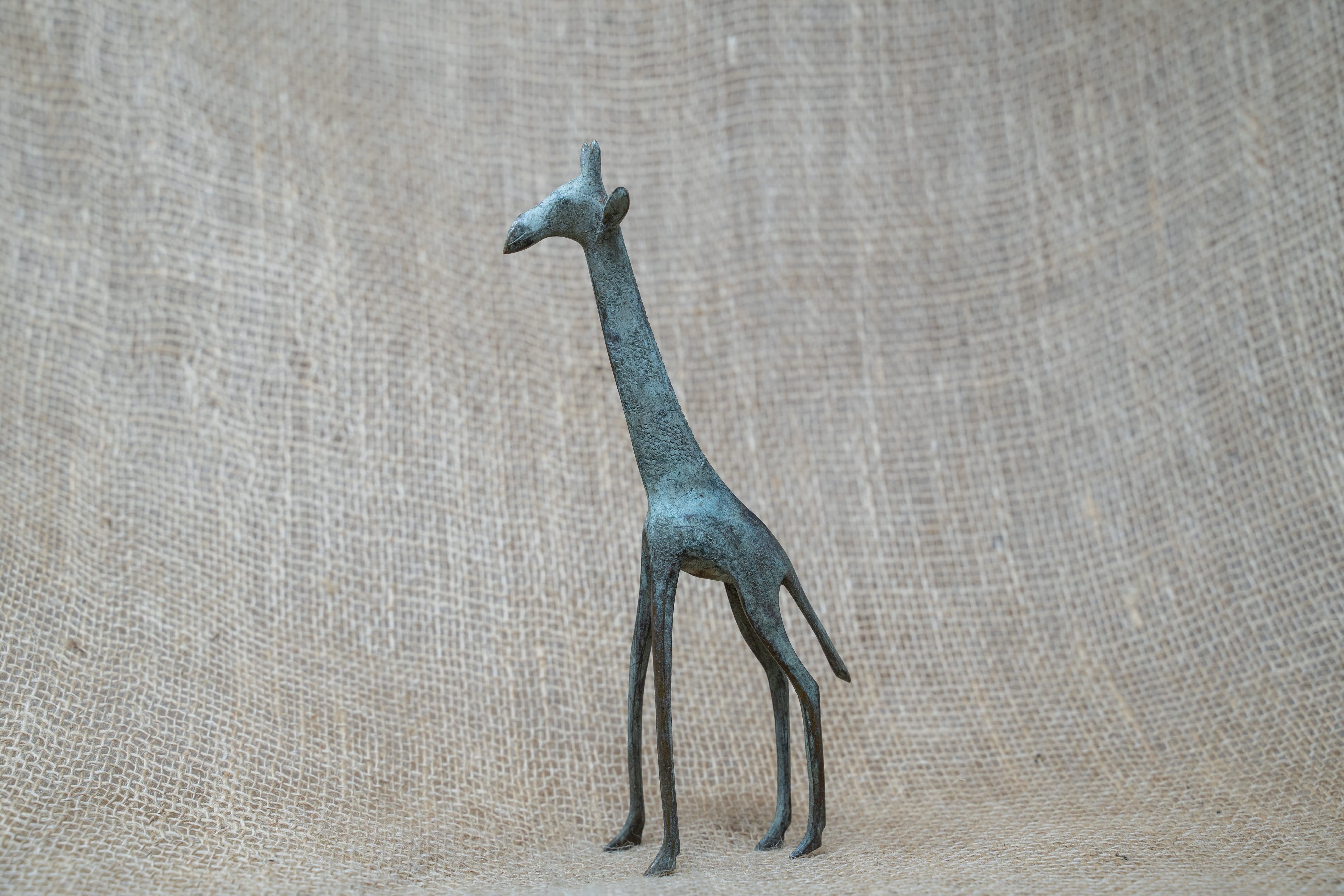 Bronzegiraffe - Tschad 20cm.3