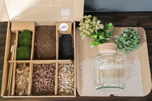 Cork jar terrarium kit