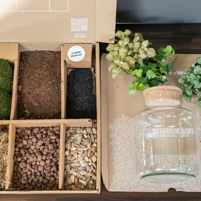Cork jar terrarium kit