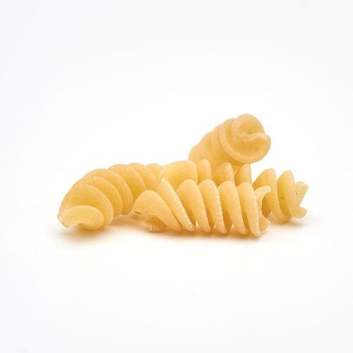 Fusilli Bio Grandi Formati