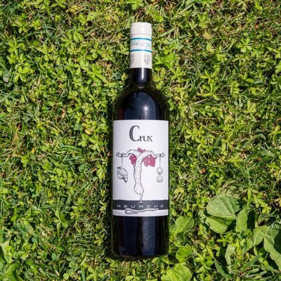Still Red Wine "Crux" - Rosso Veronese IGT - 0.75lt