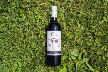 Vin rouge tranquille "Crux" - Rosso Veronese IGT - 0,75lt 1