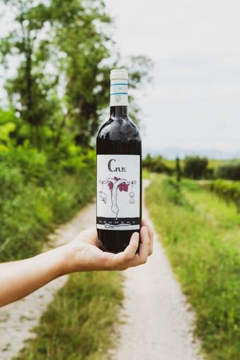 Vin rouge tranquille "Crux" - Rosso Veronese IGT - 0,75lt 2