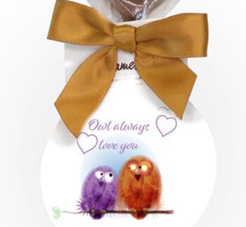 Sucette Coeur Au Chocolat Au Lait - Owl Always Love You 2