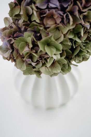 Vase meringue - adapté aux fleurs fraîches et aux compositions florales séchées 5