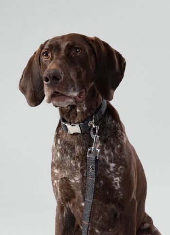 Hackett x Hugo & Hudson Collier pour chien en tweed à chevrons à carreaux gris 6