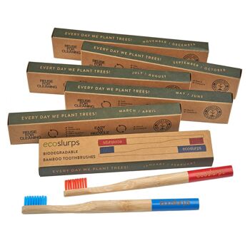EcoSlurps Lot de 12 brosses à dents en bambou multicolores - Poils doux de taille moyenne - Approvisionnement d'un an 8