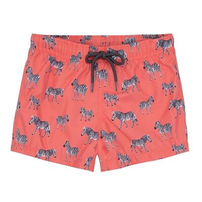 Grevy Swim Shorts Pack of 8 (Ages 2-11)