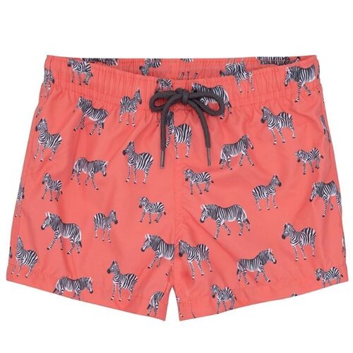 Men's Grevy Swim Shorts Pack of 6 ( Sizes S-XL)