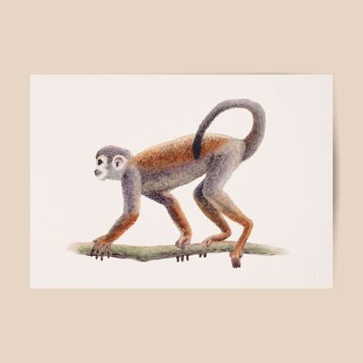 Poster monkey - A4 or A3 size - kids room / baby nursery