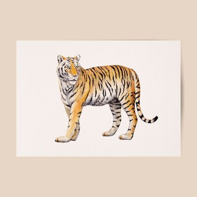 Affiche Tigre - format A4 ou A3 - chambre d'enfant / crèche bébé