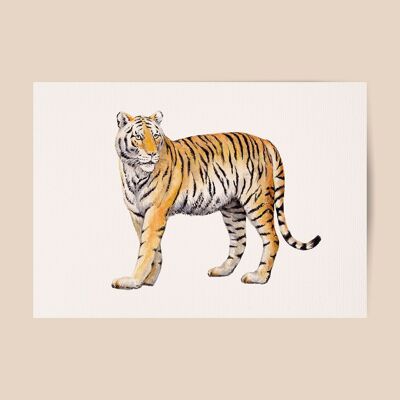 Poster Tiger - A4 or A3 size - kids room / baby nursery