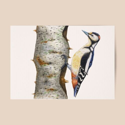 Poster woodpecker - A4 or A3 size - kids room / baby nursery